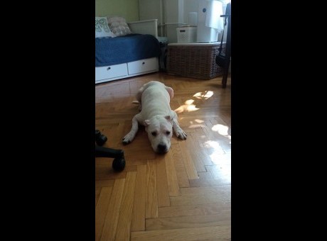 whatsapp image 2025-10-25 at 23.46.19 _3_.jpeg